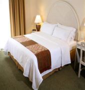 Holiday Inn Express Monterrey Galerias-Sn Jeronimo