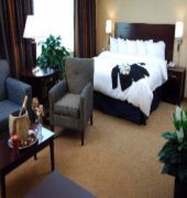 Holiday Inn and Suites Chicago O'Hare Rosemont Hotel