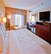 Holiday Inn St Petersburg N - Clearwater