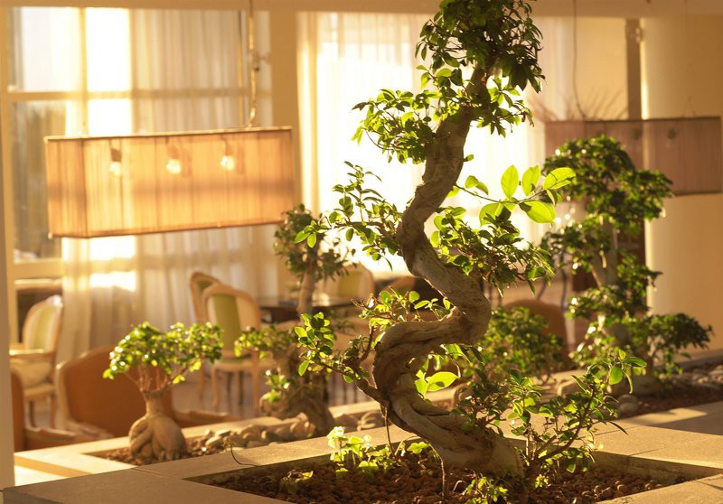 Parklane, a Luxury Collection Resort & Spa, Limassol