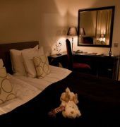 CityHotel