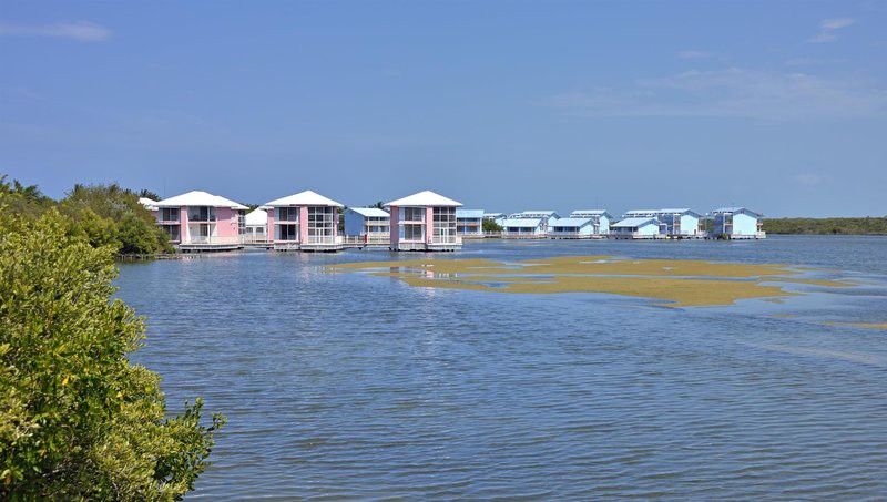 Melia Cayo Coco
