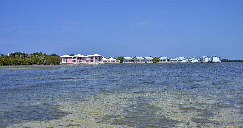 Melia Cayo Coco