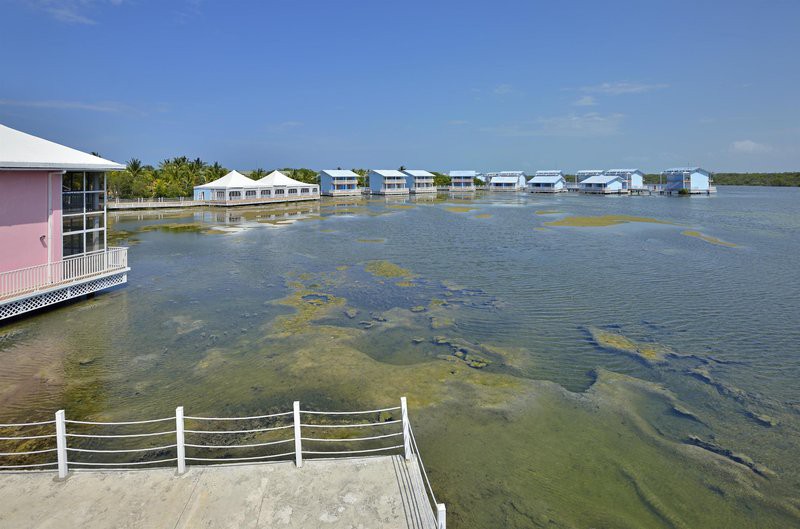 Melia Cayo Coco