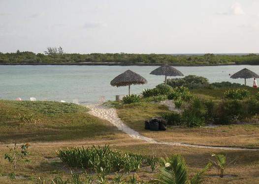 BRISAS COVARRUBIAS