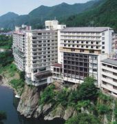 Kinugawa Plaza Hotel