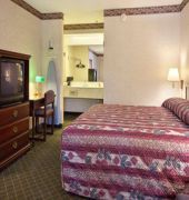 Super 8 Ruther Glen Kings Dominion Area