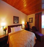 Comfort Inn Winchester
