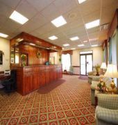 Comfort Inn Winchester