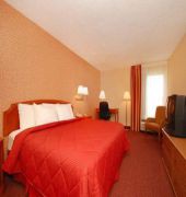 Comfort Inn Quantico