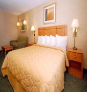 Comfort Inn Morris