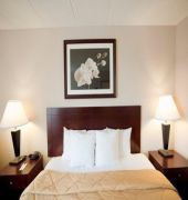 Comfort Inn Northeast