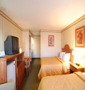 COMFORT INN MAINGATE