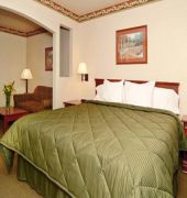 Comfort Inn Mansfield