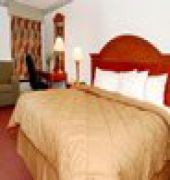 Comfort Inn Lehigh Valley West