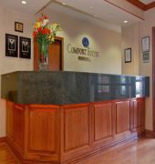 Comfort Suites Mckinney