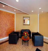 Quality Inn North