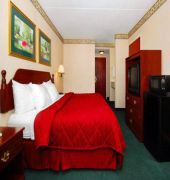 Comfort Inn Meadowlands