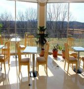 Rodeway Inn Skytop