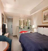 Travelodge Niagara Falls By the Falls