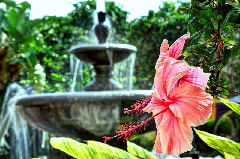 Courtyard Bradenton Sarasota/Riverfront