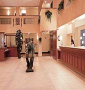 Holiday Inn Express & Suites Tampa Northwest-Oldsmar
