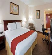 Holiday Inn Express & Suites Tampa Northwest-Oldsmar