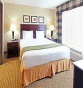 Holiday Inn Express & Suites Dfw-Grapevine