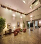 Holiday Inn Des Moines Dtwn - Mercy Area