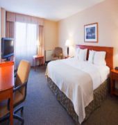 Holiday Inn Hotel & Suites Duluth-Downtown