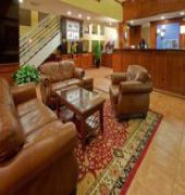 Four Points by Sheraton Dallas Arlington Entertainment District