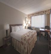 Holiday Inn Windsor Downtown