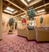 Holiday Inn Executive Center-Columbia Mall