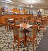 Holiday Inn Express & Suites Belleville (Airport Area)
