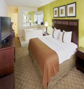 Holiday Inn Roanoke - Tanglewood Rt 419 & I581