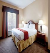 Holiday Inn Express Hotel & Stes Columbia I-20 at Clemson Rd