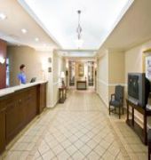 Holiday Inn Express & Suites Live oak