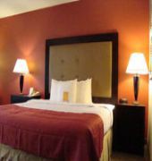 Holiday Inn Hotel & Suites Raleigh-Cary (I-40 @walnut St)