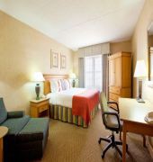 Holiday Inn Chicago-Tinley Park-Conv Ctr