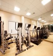 Holiday Inn Chicago-Tinley Park-Conv Ctr