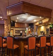 Holiday Inn Rolling Mdws-Schaumburg Area