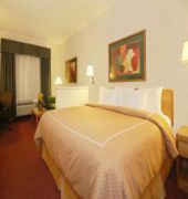 Comfort Suites - New Braunfels