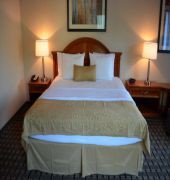 Best Western Plus Clearfield